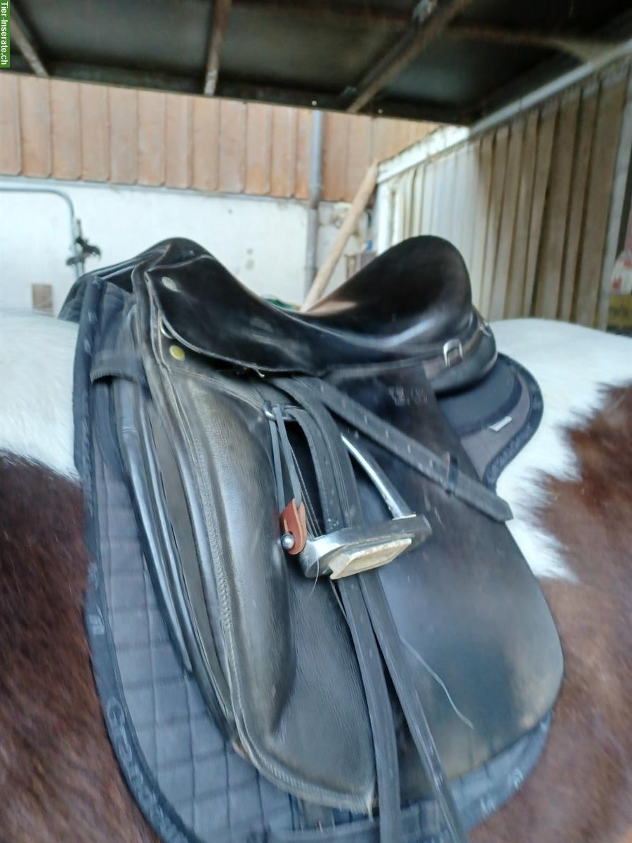Bild 2: Pferde DRESSURSÄTTEL zu verkaufen