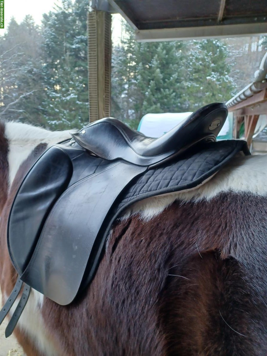 Bild 4: Pferde DRESSURSÄTTEL zu verkaufen