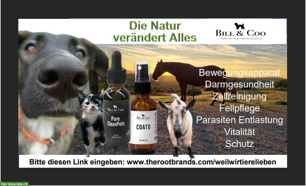 Das Haus in dem die Seele wohnt ist dein Körper
