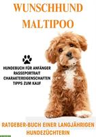 Hunderatgeber Maltipoo, Malteser x Kleinpudel, Rasseportrait, Welpenkauf