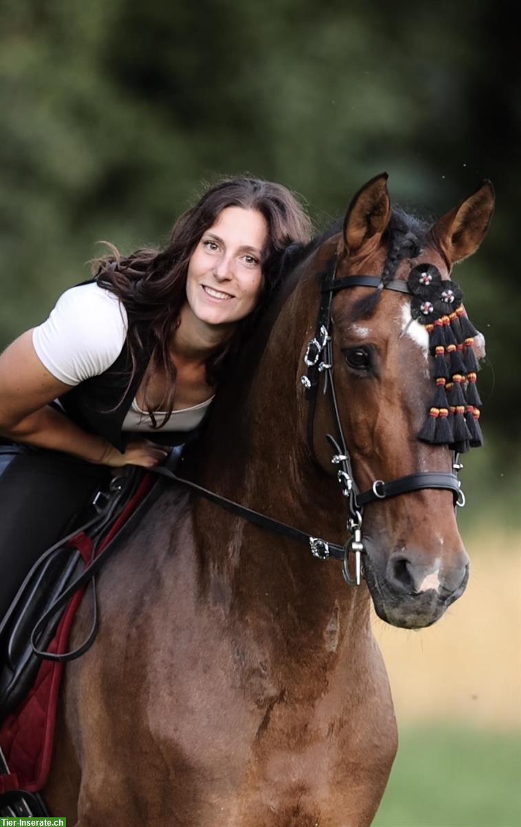 Bild 3: Ganzheitliches 🐴Pferdetraining / Zirzensik / Bodenarbeit