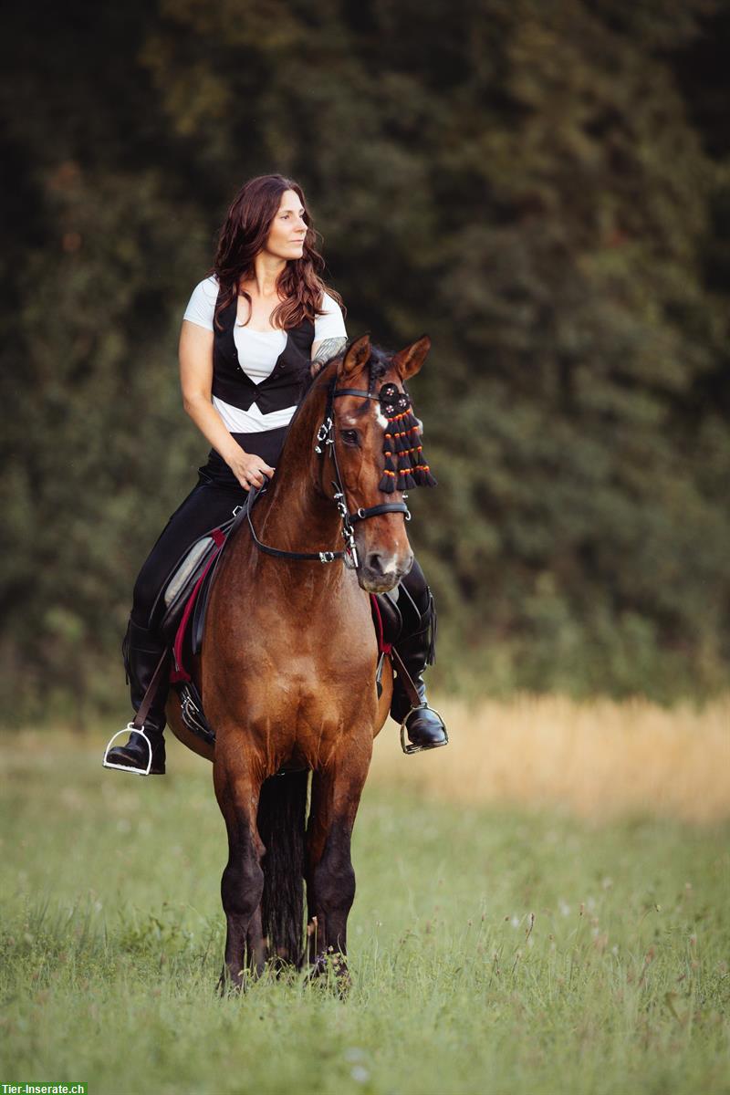 Bild 4: Ganzheitliches 🐴Pferdetraining / Zirzensik / Bodenarbeit