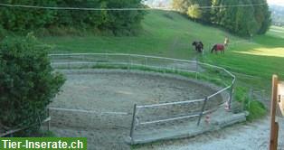 Bild 4: Freie Auslaufboxe und Fensterboxe in Winikon LU