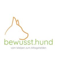 Alltagshelden | Hunde Lernspaziergang / Social Walk