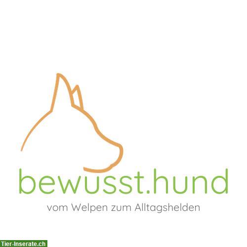 Mantrailing bei bewusst.hund