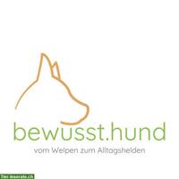 Mantrailing bei bewusst.hund