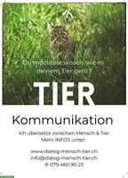 Tierkommunikation - Hast du eine Frage an dein Tier?