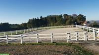 1 freie Pferdeboxe mit Auslauf in Muri im Aargau