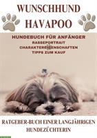 Hunderatgeber: Der Havapoo, Havaneser x Kleinpudel, Rassebeschreibung