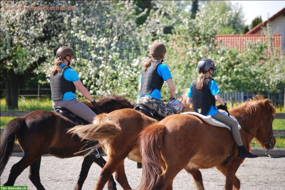 Bild 2: Offener Centered Riding Kurs für Anfänger & Fortgeschrittene