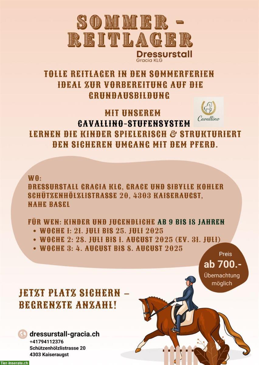Bild 2: Reitunterricht und Reitlager für Erwachsene & Kinder