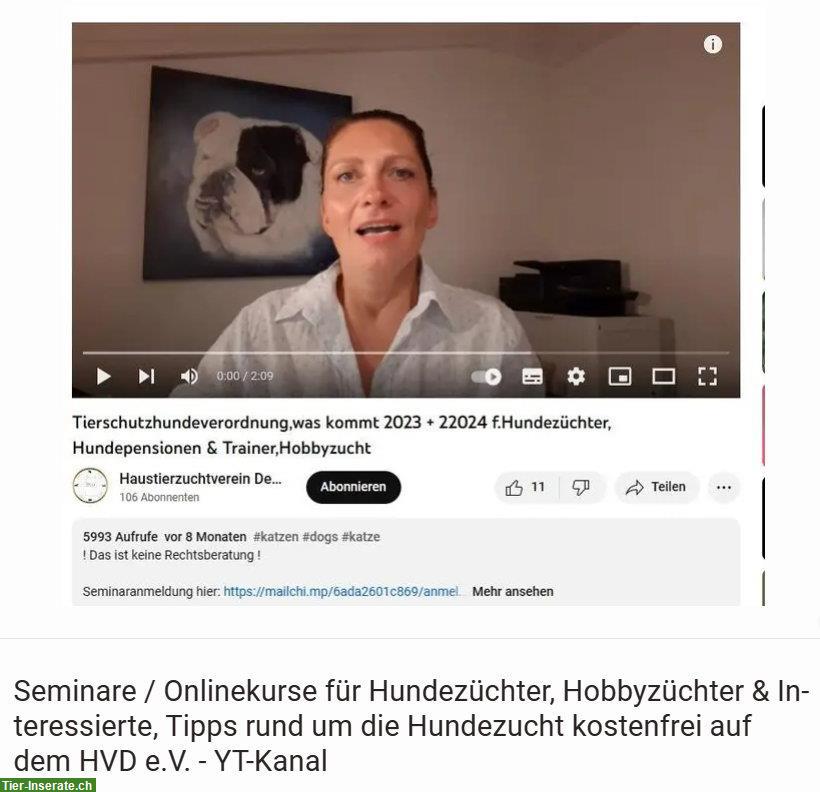 Online Hundeseminar, Züchtervortrag zu Hundegeburt & Vorbereitung