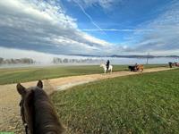 Reitcamps / Kinderprogramm nähe Rekingen / Bad Zurzach