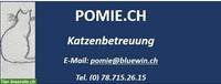 Katzenbetreuung POMIE.CH Bettlach und Umgebung