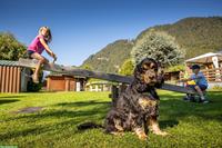 Camping mit Hund! JungfrauCamp im Berner Oberland
