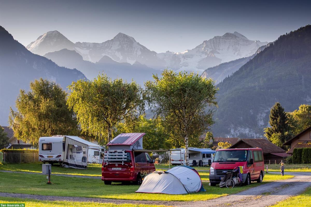 Bild 3: Camping mit Hund! JungfrauCamp im Berner Oberland