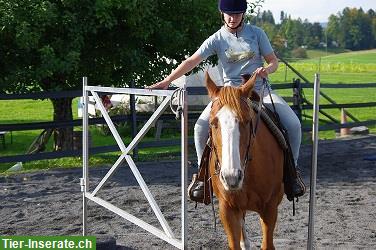Bild 2: Ranch-Reitlager für Jugendliche ab 10 bis 17 Jahre