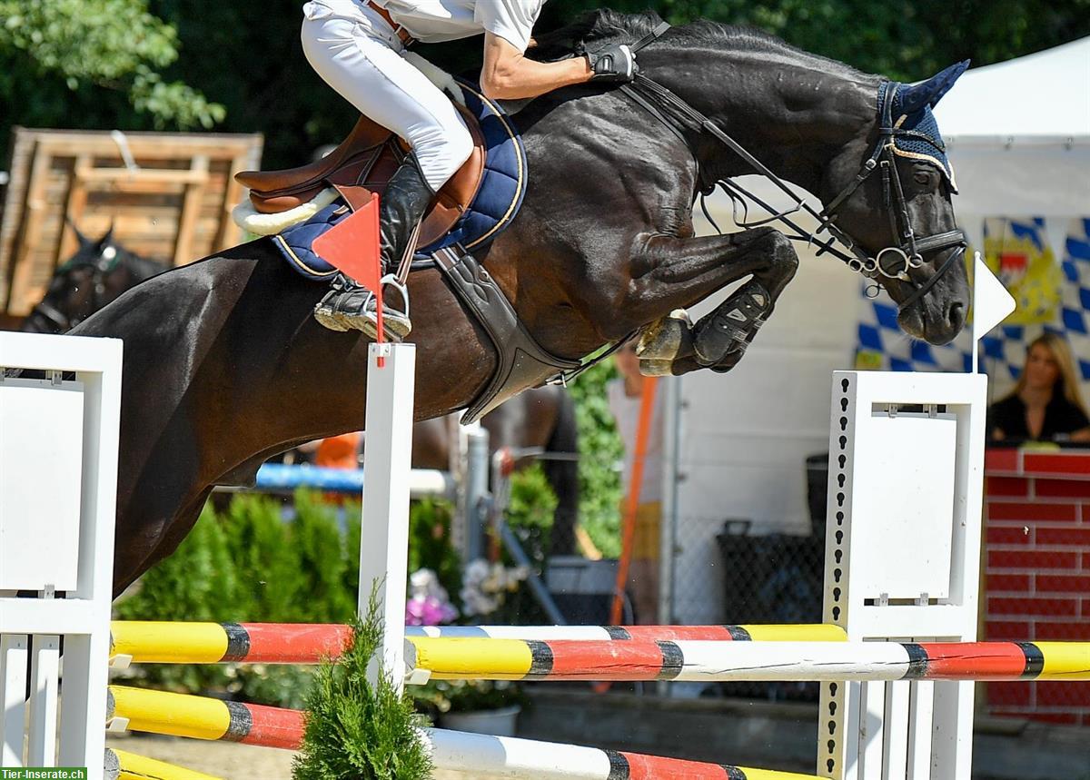 Bieten Reitstunden in Springen oder Dressur