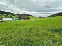 Pensionsstall Lärchenhof im schönen Zürcher Oberland