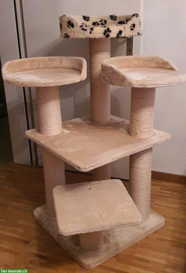 Kratzbaum für mehrere Katzen im Haushalt, beige, neuwertig!