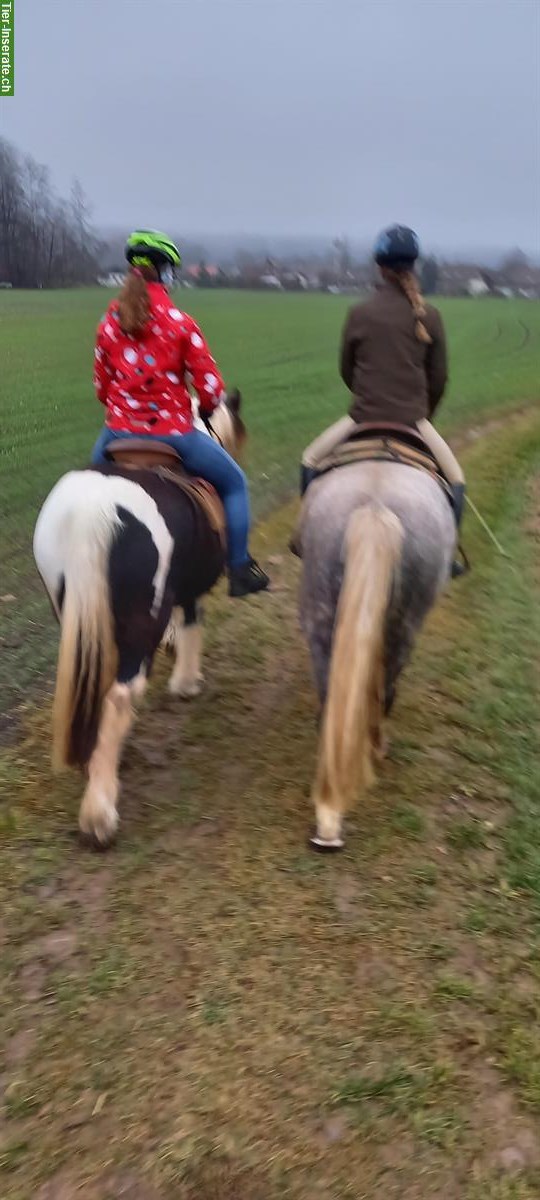 Therapie Heilpädagogisches Pferdegestützt Angebote Reiten