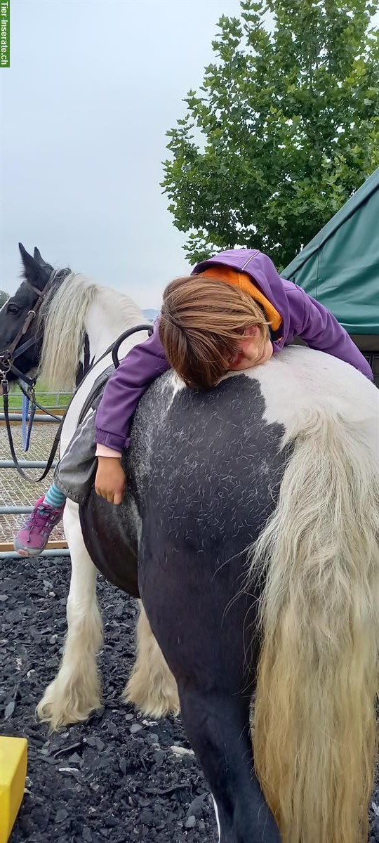 Bild 2: Therapie Heilpädagogisches Pferdegestützt Angebote Reiten