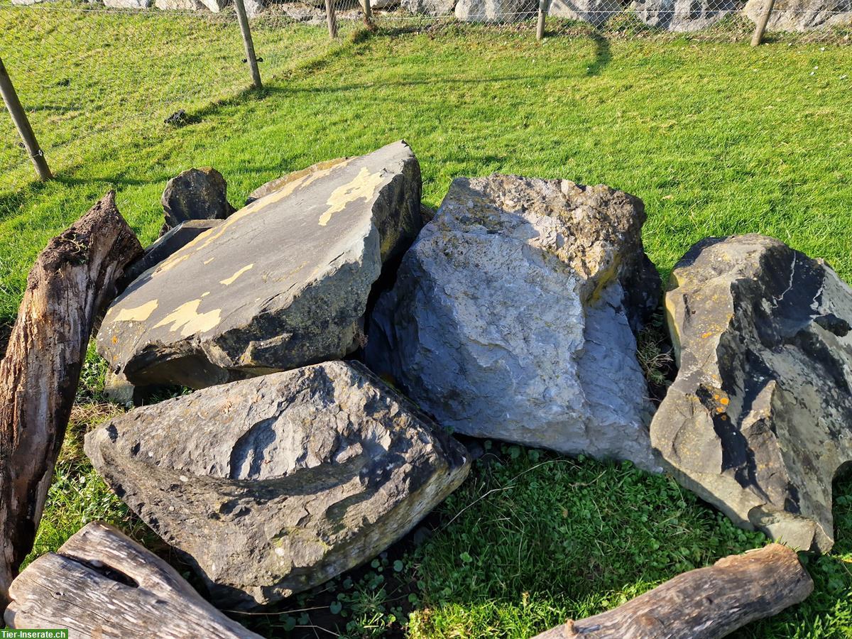 Bild 2: Tolle Klettersteine für Ziegen etc.