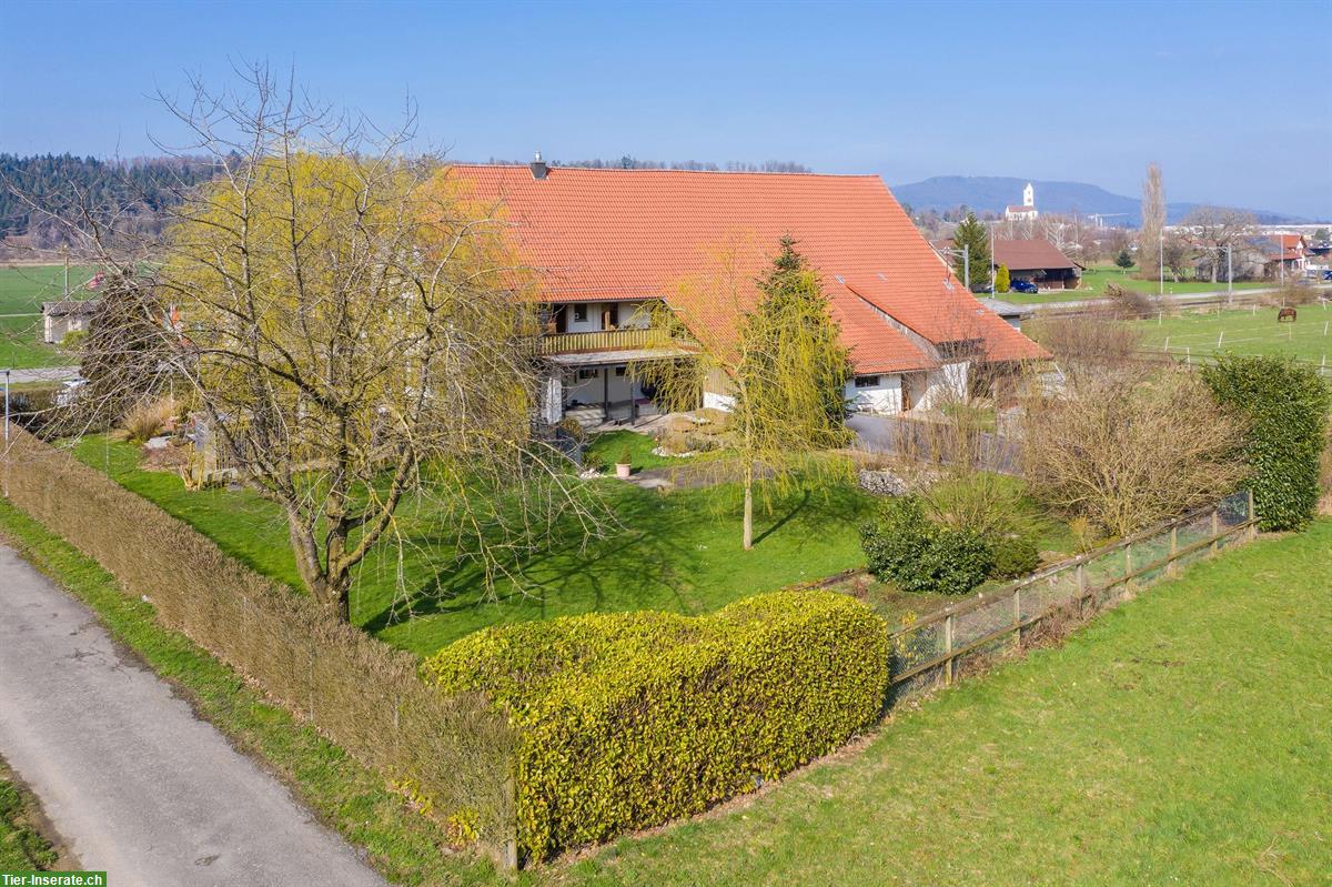 Bauernhaus mit 2 Wohnungen und viel Platz für Vierbeiner