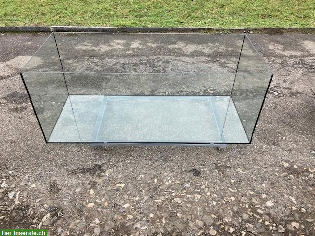 Bild 2: Grosses Glasterrarium 180x75x70cm zu verkaufen