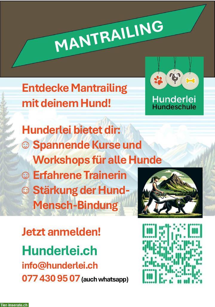 Mantrailing für jedermann und alle Hunderassen - Freie Plätze!