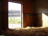 Auslaufboxen mit Halle und Beritt/Reitunterricht im Aargau