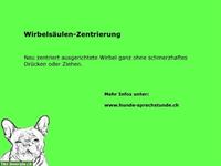 Wirbelsäulen-Zentrierung - Sanfte Ausrichtung & Blockadenlösung