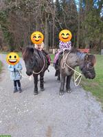 Ponyplausch & Ferienkurs für Kinder von 5 bis ca. 8 Jahren