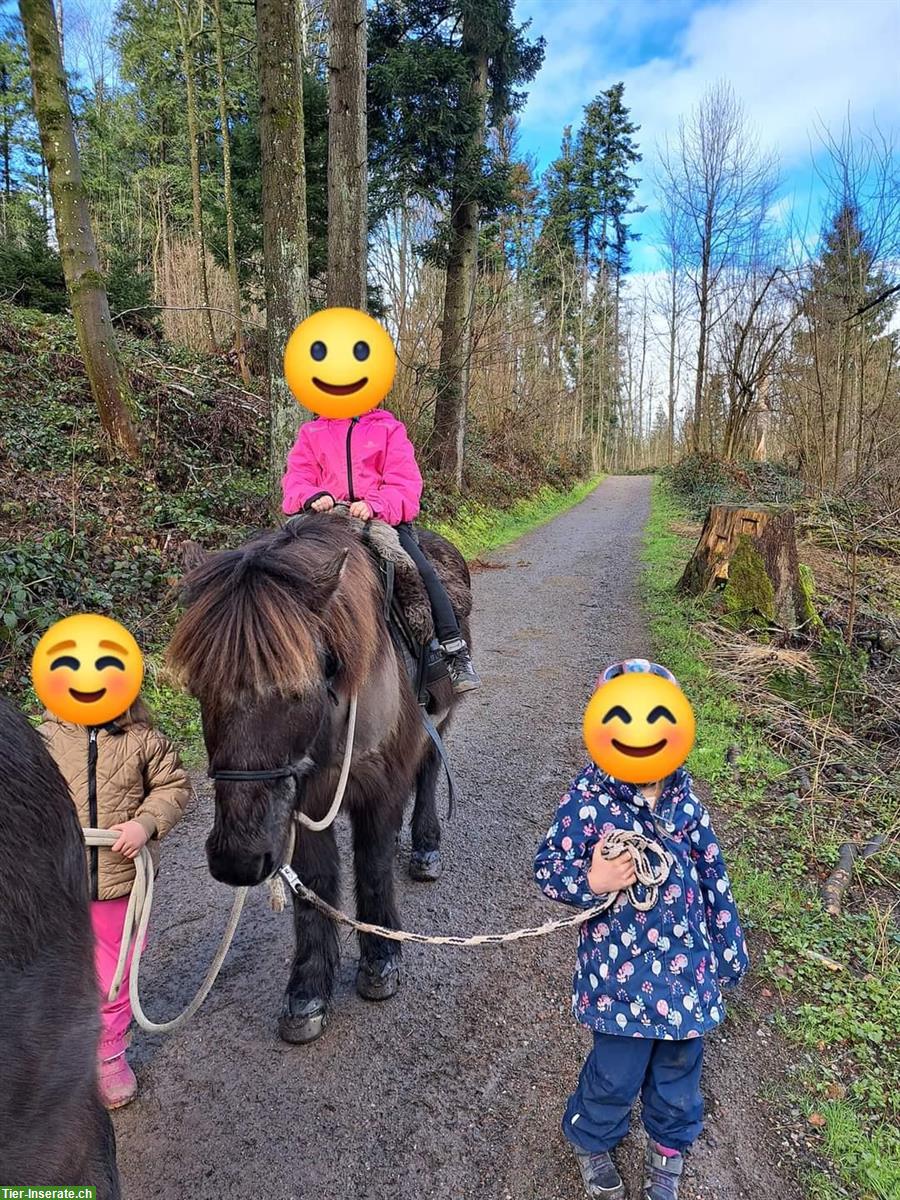 Bild 2: Ponyplausch & Ferienkurs für Kinder von 5 bis ca. 8 Jahren