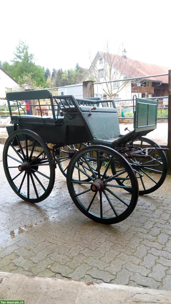 Wagonette Ein- und Zweispänner Kutsche