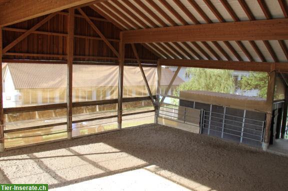 Bild 4: Freistehendes Zweifamilienhaus mit Pferde-Infrastruktur zu verkaufen