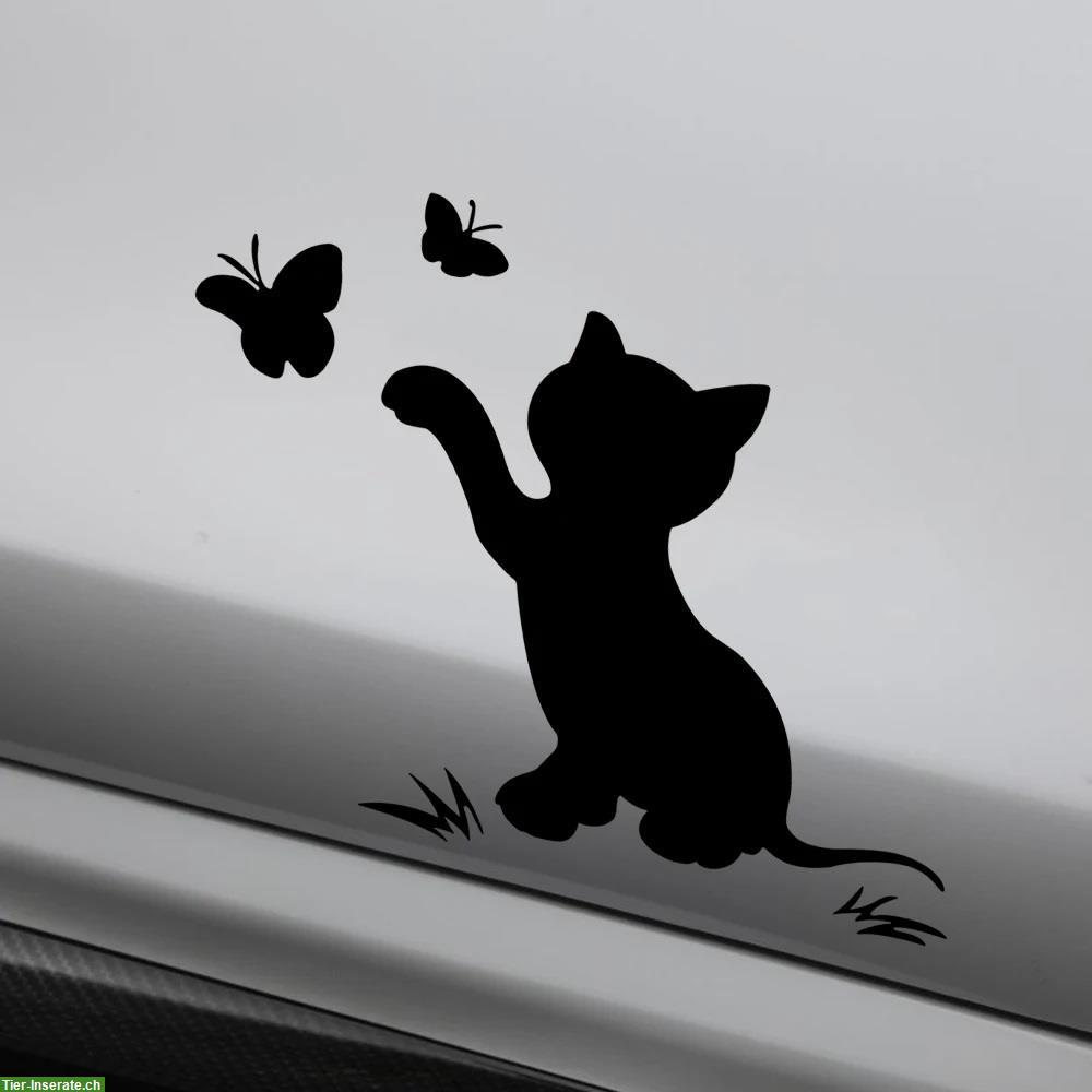 Bild 4: Fahrzeugaufkleber Kätzchen 16 x 12 cm Aufklebefolie
