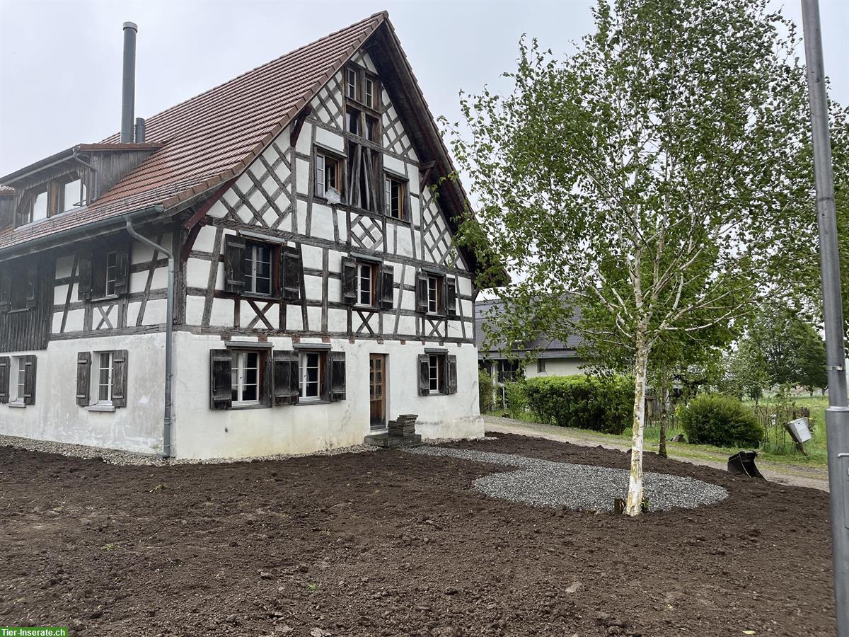 Bild 6: 5.5 Zimmer Einfamilienhaus zu vermieten im Thurgau