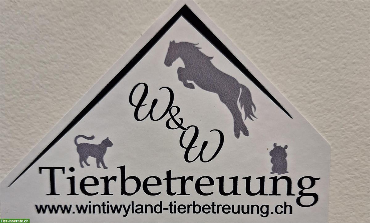 Bild 2: WintiWyland Tierbetreuung | Katzenbetreuung Winterthur, Zürich Weinland