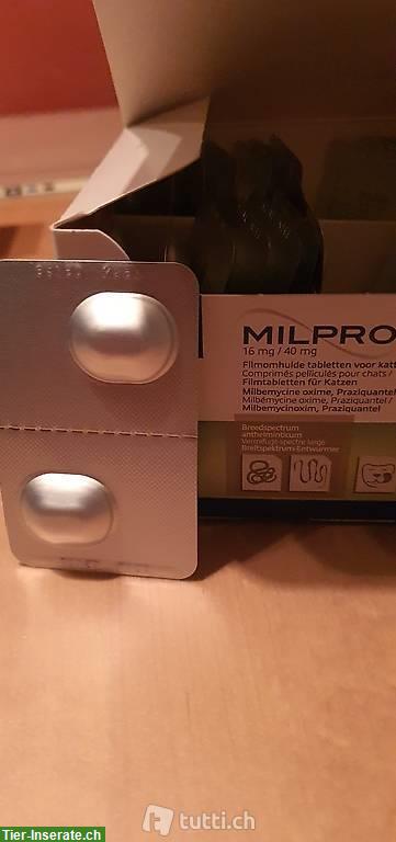 Bild 2: Milpro Katzen Entwurmung Tabletten ab Lager, Fabrikneu