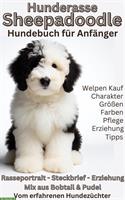 Sheepadoodle Hundebuch: Sheepapoos, Bobtail Doodle, Bobtail & Pudel