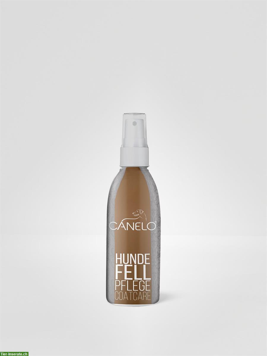 Bild 2: Hunde Fellpflegespray | 200 ml | CANELO rein natürlich