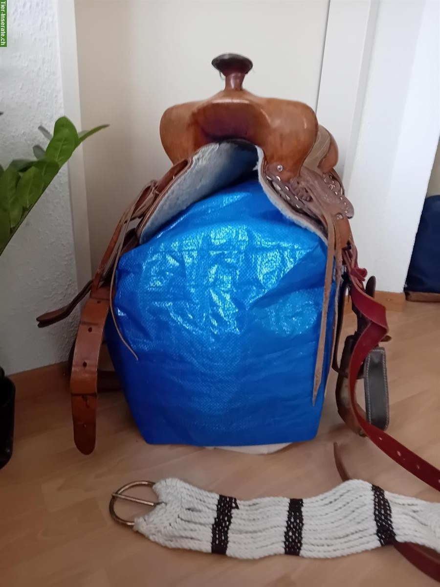 Bild 2: Westernsattel mit Bauchgurte & Steigbügel zu verkaufen