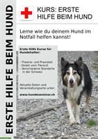 KURS: «Erste Hilfe beim Hund» für Hundehalter