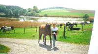 Pferdefachfrau sucht Festanstellung als Allrounderin im Pferdebereich