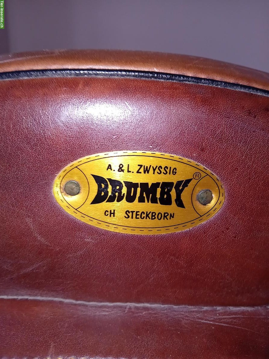 Bild 4: Westernsattel der Marke Brumby zu verkaufen