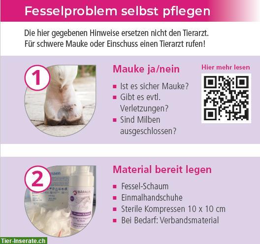 Bild 2: Bäralis Fesselschaum für Pferde (Mauken Schaum) Nr. 3