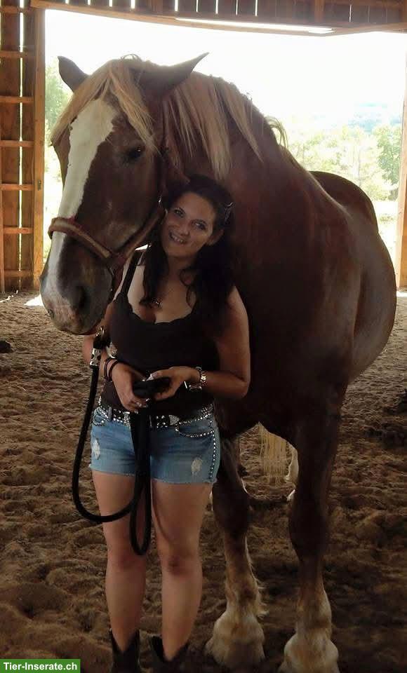 Bild 9: Mobile Reitlehrerin/Reitstunden, individueller Reitunterricht