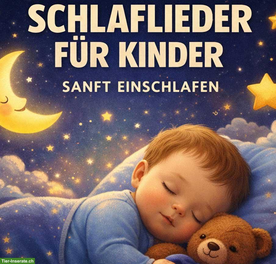 Bild 8: Persönlicher Geschenksong: Deine Idee als Melodie!