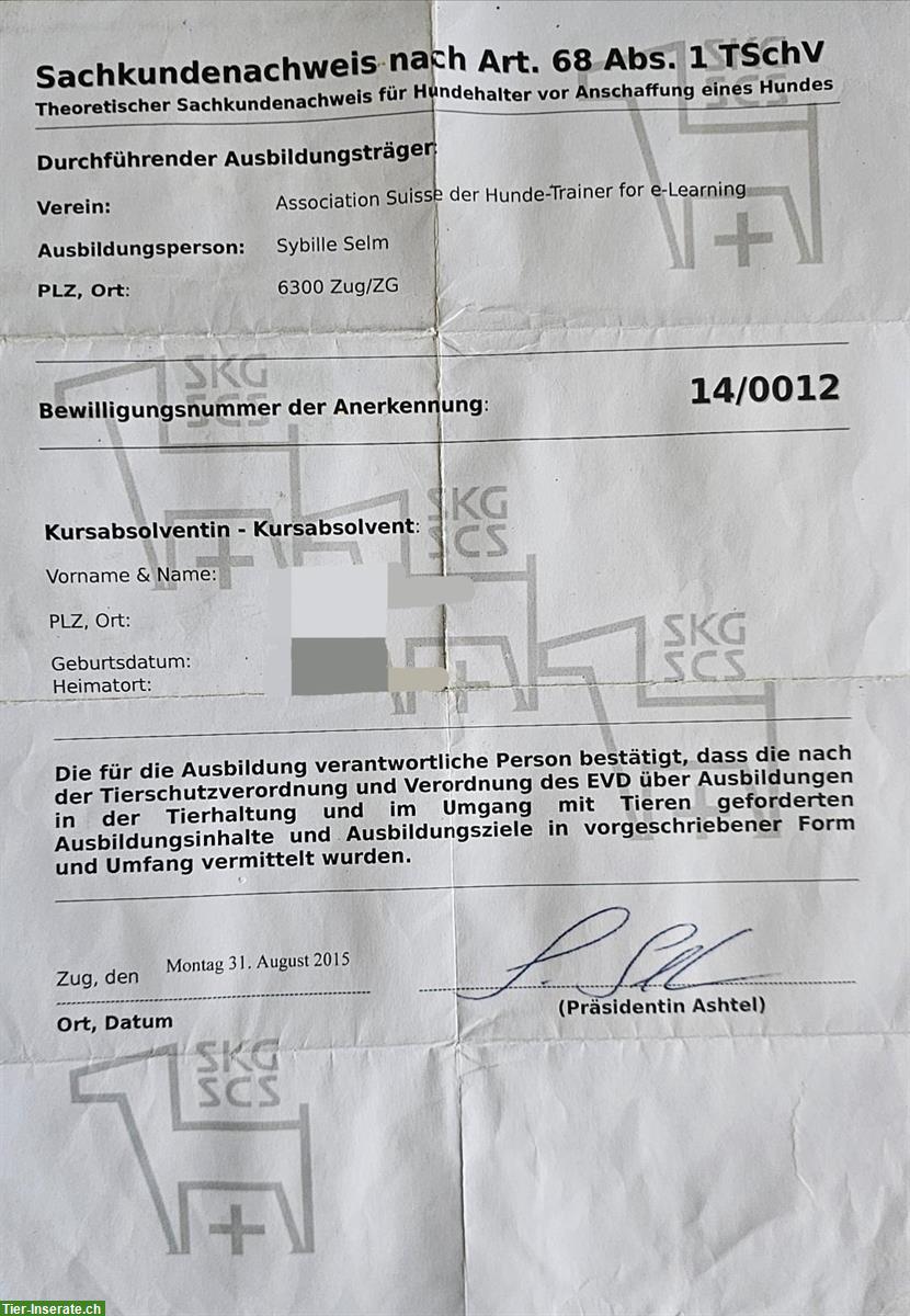 Bild 4: Biete liebevolle Tierbetreuung - Hunde, Katzen...